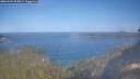 ./images/calvert/foggy-cove/20260424/foggy-cove20260424_094501M.jpg