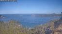 ./images/calvert/foggy-cove/20260424/foggy-cove20260424_101501M.jpg