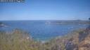 ./images/calvert/foggy-cove/20260424/foggy-cove20260424_102001M.jpg