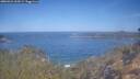 ./images/calvert/foggy-cove/20260424/foggy-cove20260424_103501M.jpg