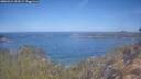 ./images/calvert/foggy-cove/20260424/foggy-cove20260424_104501M.jpg