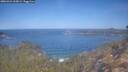 ./images/calvert/foggy-cove/20260424/foggy-cove20260424_105001M.jpg
