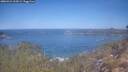 ./images/calvert/foggy-cove/20260424/foggy-cove20260424_110501M.jpg