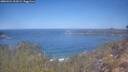 ./images/calvert/foggy-cove/20260424/foggy-cove20260424_111002M.jpg