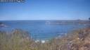 ./images/calvert/foggy-cove/20260424/foggy-cove20260424_111501M.jpg