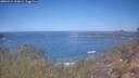 ./images/calvert/foggy-cove/20260424/foggy-cove20260424_113001M.jpg