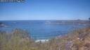 ./images/calvert/foggy-cove/20260424/foggy-cove20260424_113501M.jpg