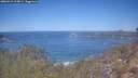 ./images/calvert/foggy-cove/20260424/foggy-cove20260424_114001M.jpg
