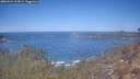 ./images/calvert/foggy-cove/20260424/foggy-cove20260424_114502M.jpg