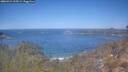 ./images/calvert/foggy-cove/20260424/foggy-cove20260424_115501M.jpg