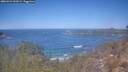 ./images/calvert/foggy-cove/20260424/foggy-cove20260424_120501M.jpg