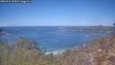 ./images/calvert/foggy-cove/20260424/foggy-cove20260424_121001M.jpg