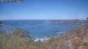 ./images/calvert/foggy-cove/20260424/foggy-cove20260424_121501M.jpg