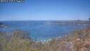 ./images/calvert/foggy-cove/20260424/foggy-cove20260424_122001M.jpg