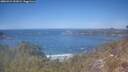 ./images/calvert/foggy-cove/20260424/foggy-cove20260424_131001M.jpg