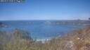 ./images/calvert/foggy-cove/20260424/foggy-cove20260424_132002M.jpg