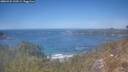 ./images/calvert/foggy-cove/20260424/foggy-cove20260424_132501M.jpg