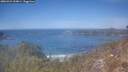 ./images/calvert/foggy-cove/20260424/foggy-cove20260424_134001M.jpg