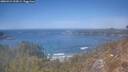 ./images/calvert/foggy-cove/20260424/foggy-cove20260424_134501M.jpg