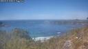 ./images/calvert/foggy-cove/20260424/foggy-cove20260424_135002M.jpg