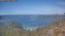 ./images/calvert/foggy-cove/20260424/foggy-cove20260424_141001M.jpg