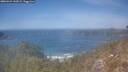 ./images/calvert/foggy-cove/20260424/foggy-cove20260424_142002M.jpg