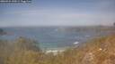 ./images/calvert/foggy-cove/20260424/foggy-cove20260424_144501M.jpg