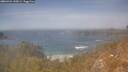 ./images/calvert/foggy-cove/20260424/foggy-cove20260424_145001M.jpg
