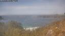 ./images/calvert/foggy-cove/20260424/foggy-cove20260424_151002M.jpg