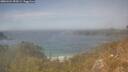 ./images/calvert/foggy-cove/20260424/foggy-cove20260424_152001M.jpg