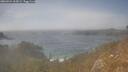 ./images/calvert/foggy-cove/20260424/foggy-cove20260424_163001M.jpg