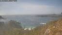 ./images/calvert/foggy-cove/20260424/foggy-cove20260424_164002M.jpg