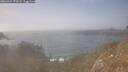 ./images/calvert/foggy-cove/20260424/foggy-cove20260424_172001M.jpg