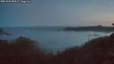 ./images/calvert/foggy-cove/20260425/foggy-cove20260425_054502M.jpg