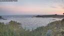 ./images/calvert/foggy-cove/20260425/foggy-cove20260425_061501M.jpg