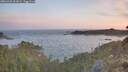 ./images/calvert/foggy-cove/20260425/foggy-cove20260425_062002M.jpg