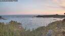 ./images/calvert/foggy-cove/20260425/foggy-cove20260425_062501M.jpg