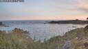 ./images/calvert/foggy-cove/20260425/foggy-cove20260425_063001M.jpg