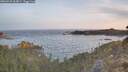 ./images/calvert/foggy-cove/20260425/foggy-cove20260425_064001M.jpg