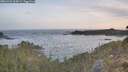 ./images/calvert/foggy-cove/20260425/foggy-cove20260425_064501M.jpg