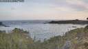 ./images/calvert/foggy-cove/20260425/foggy-cove20260425_065001M.jpg