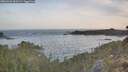 ./images/calvert/foggy-cove/20260425/foggy-cove20260425_065502M.jpg
