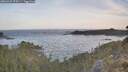 ./images/calvert/foggy-cove/20260425/foggy-cove20260425_070501M.jpg