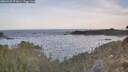 ./images/calvert/foggy-cove/20260425/foggy-cove20260425_071001M.jpg