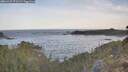 ./images/calvert/foggy-cove/20260425/foggy-cove20260425_071502M.jpg
