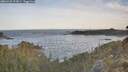 ./images/calvert/foggy-cove/20260425/foggy-cove20260425_072001M.jpg