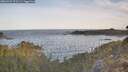 ./images/calvert/foggy-cove/20260425/foggy-cove20260425_072501M.jpg