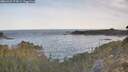 ./images/calvert/foggy-cove/20260425/foggy-cove20260425_073001M.jpg