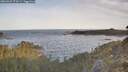 ./images/calvert/foggy-cove/20260425/foggy-cove20260425_073501M.jpg
