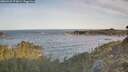 ./images/calvert/foggy-cove/20260425/foggy-cove20260425_074001M.jpg
